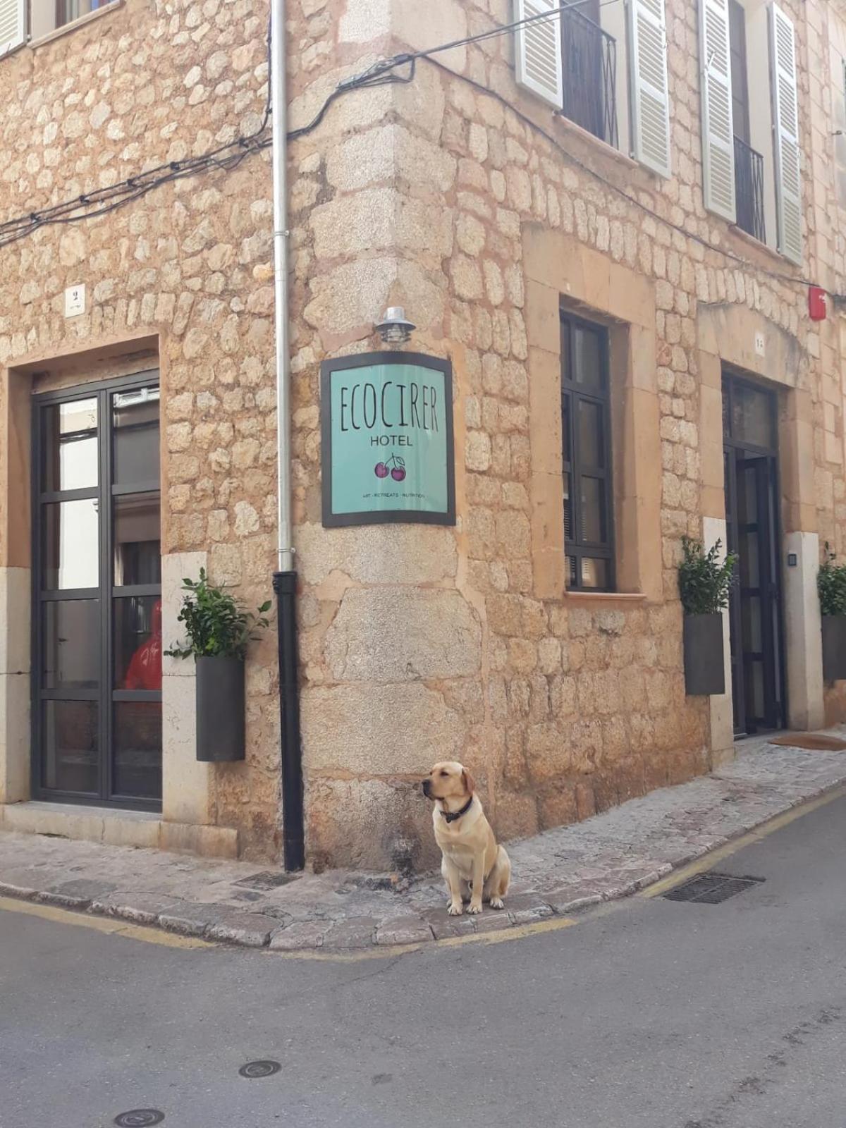 Ecocirer Healthy Stay Soller Bagian luar foto